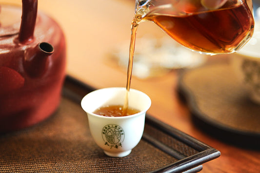 How Pu-erh Tea Regions Shape Flavor — and Which One’s Right for You