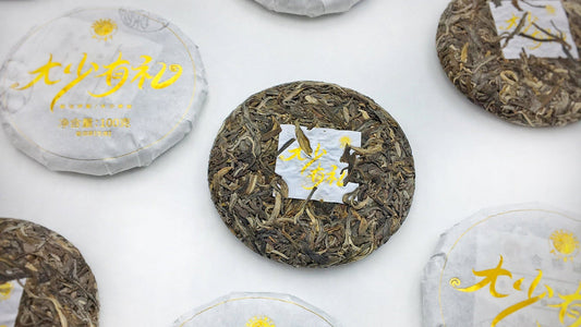 How to Judge the Aging Potential of a Pu-erh Tea Cake