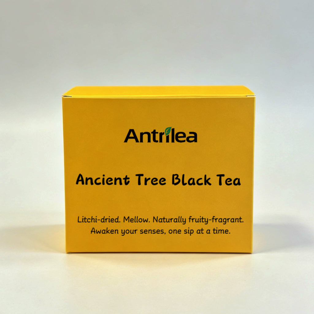 Black Tea Pouch – Ancient Tree Yunnan (5g × 10 Sachets)
