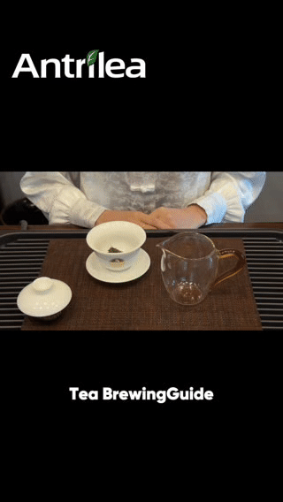 Pu-erh Tea Tasting Set — 11-Piece Raw & Ripe