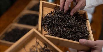 How to Identify Authentic Ancient Tree Pu'er Tea
