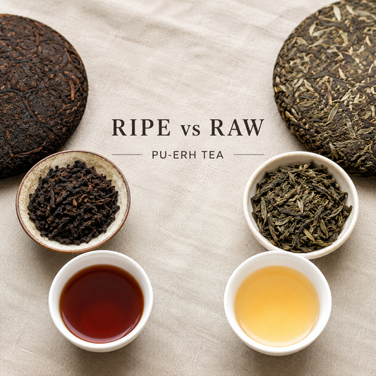 Ripe vs Raw Pu-erh Tea — Sheng and Shou Comparison Leaf and Liquor