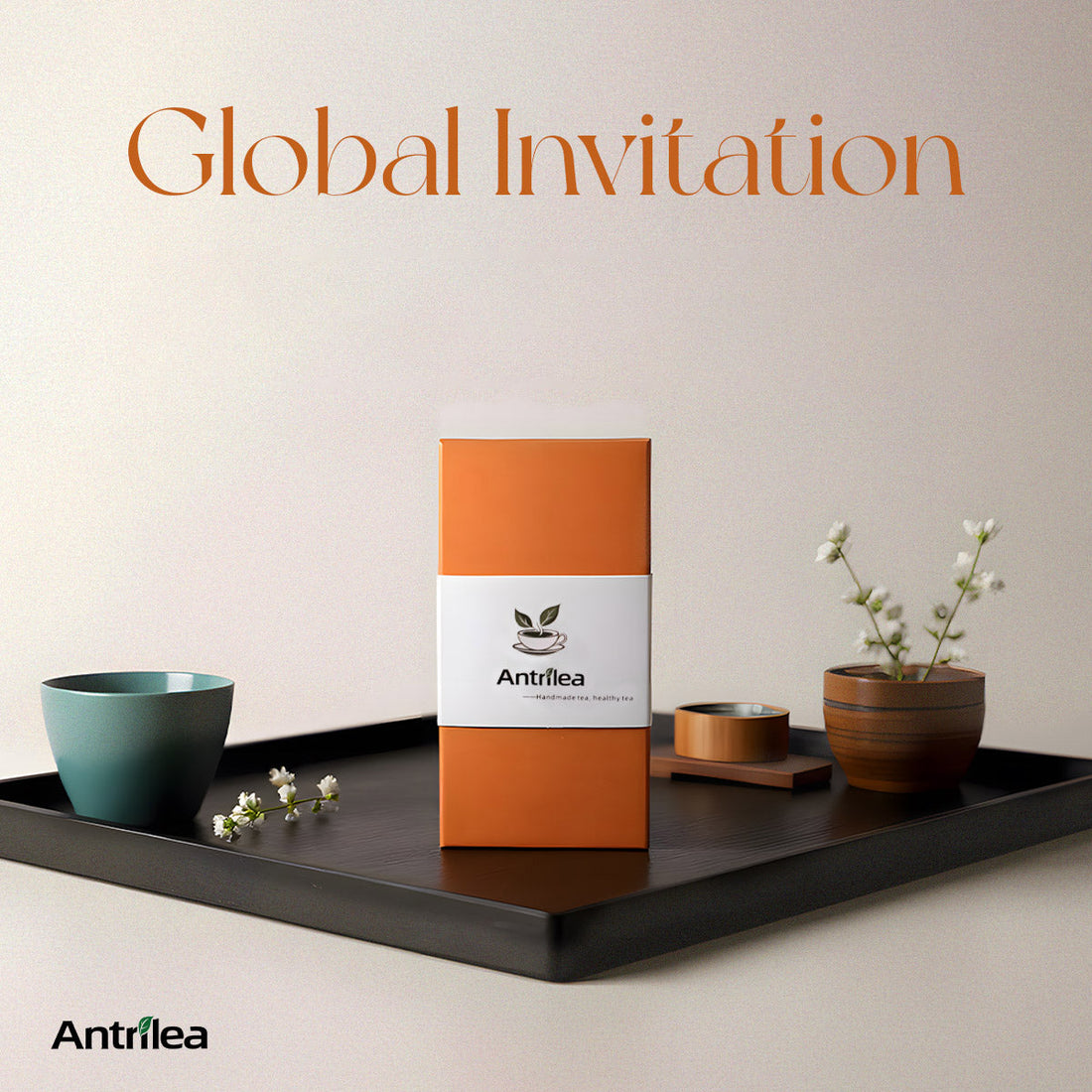 Antrilea Pu-erh Tea Tasting Gift Box Raw and Ripe Sample Set — Your First Pu-erh Order