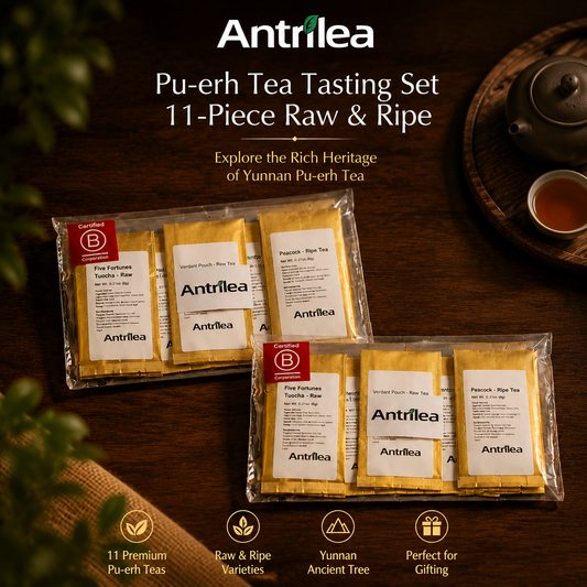Raw vs Ripe Pu-erh Tea: A Beginner's Guide to Choosing Your First Chinese Tea Experience - Antrilea