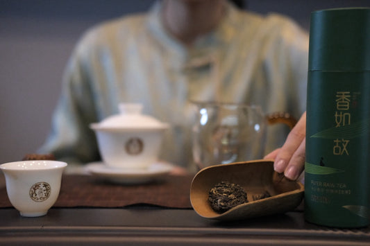 How to Identify Pu'er Tea Grade by Its Aroma