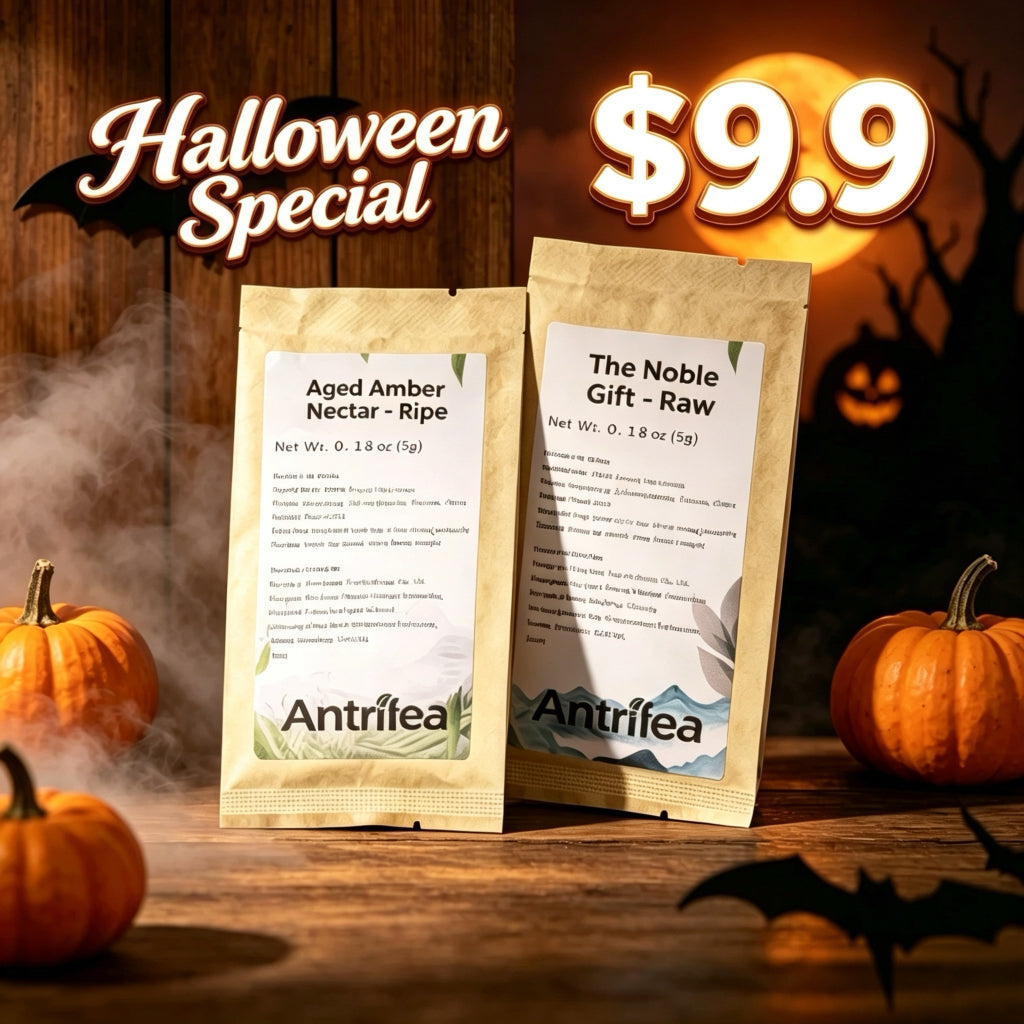 Antrilea raw and ripe Pu-erh Tea sample pouches with pumpkins and bats in a Halloween promotional scene displaying the $9.9 special.