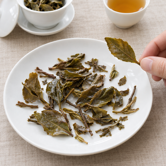 Illustration of brewed Pu-erh Tea leaves being examined on a white plate.