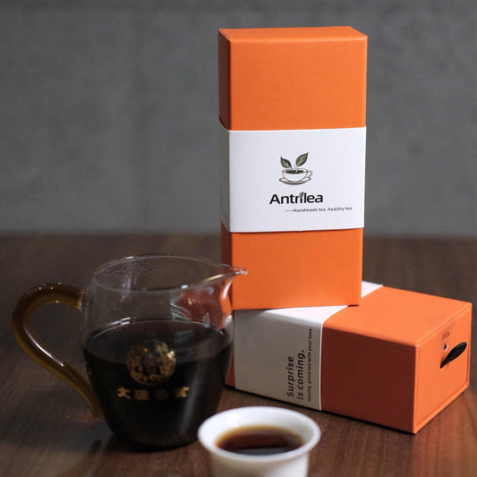 Raw and Ripe Pu-erh Tea Tasting Set — Noble Gift Sheng and Aged Amber Shou Gift Box