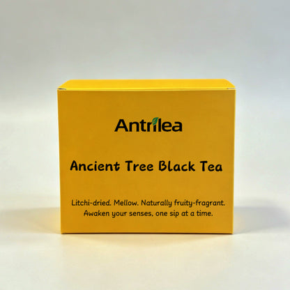 Black Tea Pouch – Ancient Tree Yunnan (5g × 10 Sachets)