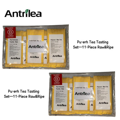 Pu-erh Tea Tasting Set — 11-Piece Raw & Ripe