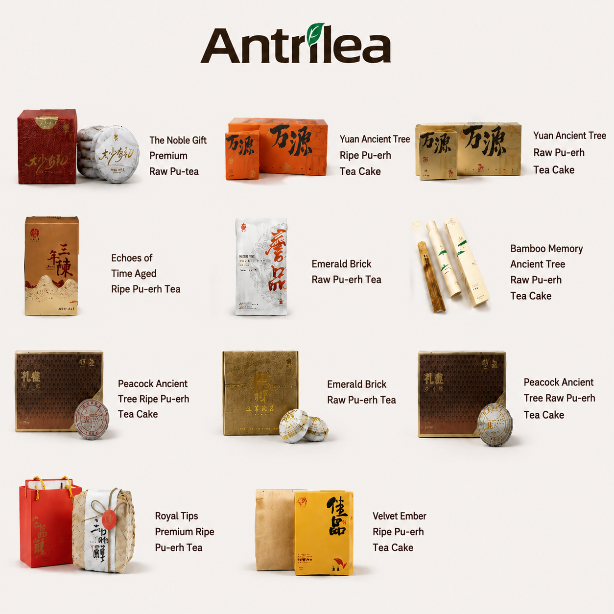 Antrilea Ancient Tree Pu-erh Tea Collection featuring 11 authentic Yunnan Pu-erh teas, including Raw Pu-erh Tea, Ripe Pu-erh Tea, tea cakes, brick teas, and premium gift boxes.