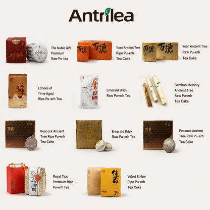 Antrilea Ancient Tree Pu-erh Tea Collection featuring 11 authentic Yunnan Pu-erh teas, including Raw Pu-erh Tea, Ripe Pu-erh Tea, tea cakes, brick teas, and premium gift boxes.
